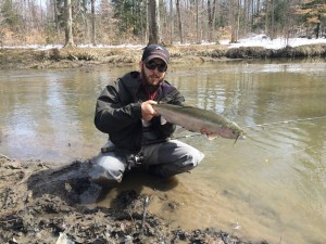A late spring steelhead that took a 3 IN Power Minnow fished under a float